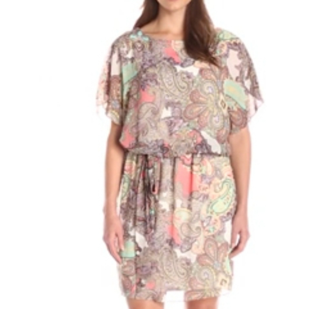S.L. Fashions Paisley, Women's Hide Belly Blouson dress